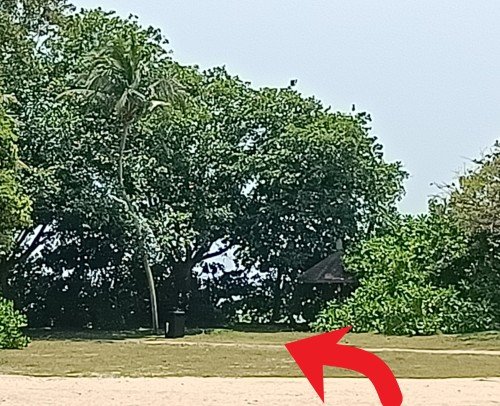 沿着人行道走进森林区域，这里是巴拉望海滩的尽头，小林就藏身于水力冲刺旁边的水域附近。