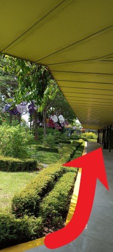 沿着有遮蔽的走道行走。