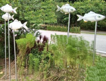 巴拉望海滩的鱼。