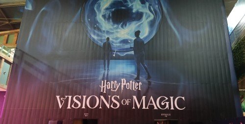 Harry Potter VISIONS OF MAGIC.
