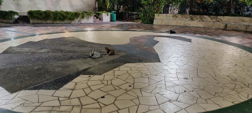 成保花园和那里的舞女。