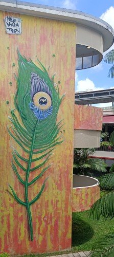 迈克·马卡特隆 (Mike Makatron) 在 Tiong Bahru Market 中峇鲁市场创作的孔雀羽毛壁画 。