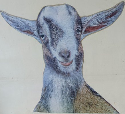 中峇鲁市场的山羊三号壁画是由 Ernest Goh 创作的。