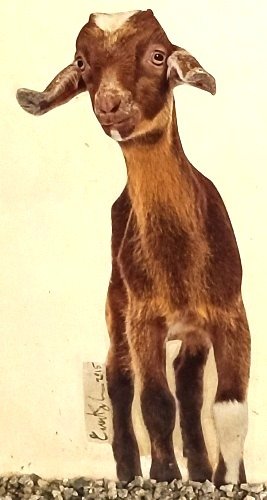 中峇鲁市场的山羊二号壁画是由 Ernest Goh 创作的。